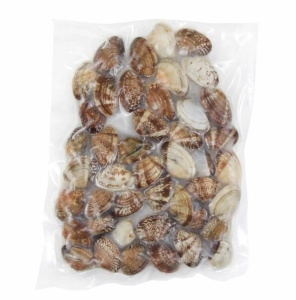 Клеммы Вонголе в раковине 31/40  500 г, весовой